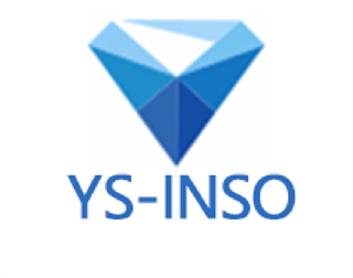 INSO (INCREDIBLE SOLUTION) HK LIMITED - Company Profile